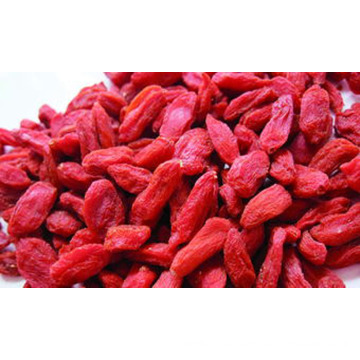 freeze dried goji berry